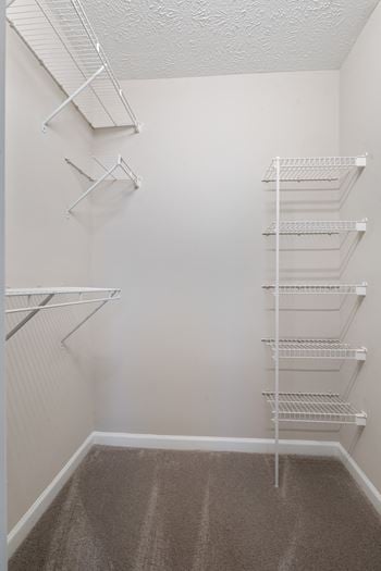 Spacious closet with white walls
